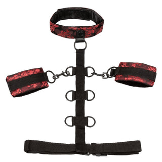 Scandal Collar Body Restraint Red