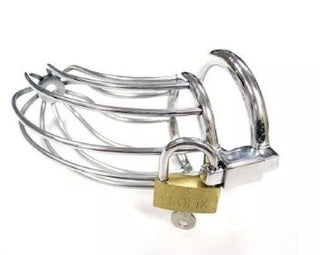 Chastity Cock Cage with Padlock