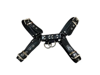 Black Leather Harness