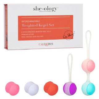 She-ology Interchangeable Weighted Kegel Set